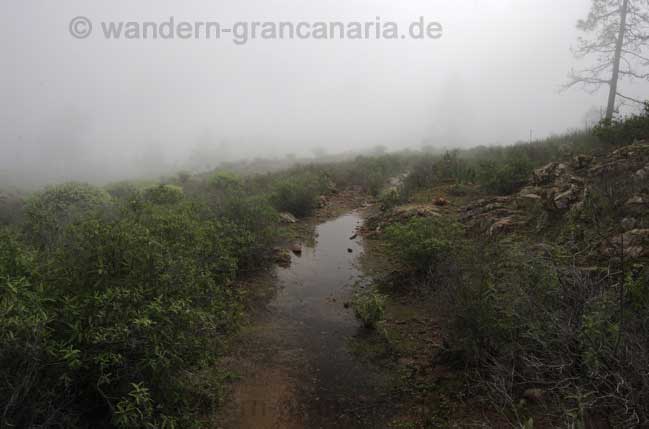 Wanderweg unter Wasser, Gran Canaria